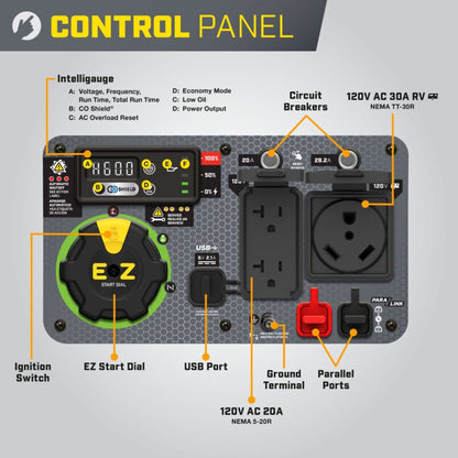 Champion Dual Fuel Inverter Generator