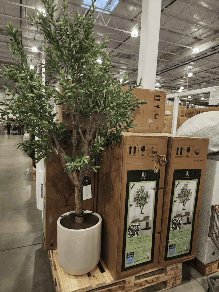 C.G. Hunter Faux 8” Olive Tree