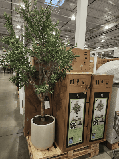 C.G. Hunter Faux 8” Olive Tree