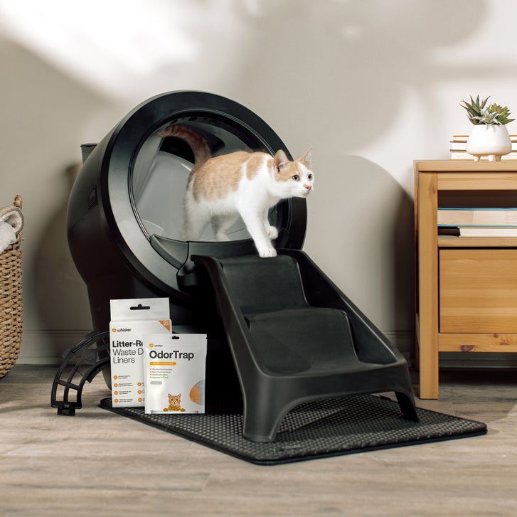Litter Robot 4