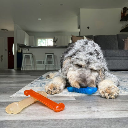 Nylabone Fun and Flexi