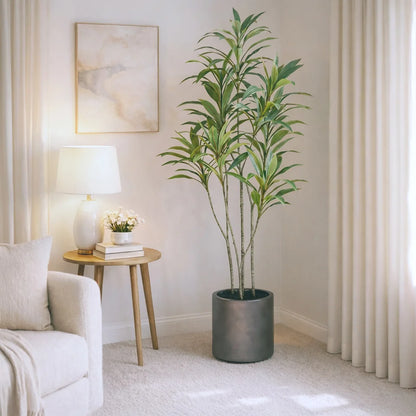 Faux 6.5' Dracaena Tree