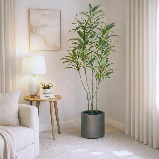 Faux 6.5' Dracaena Tree