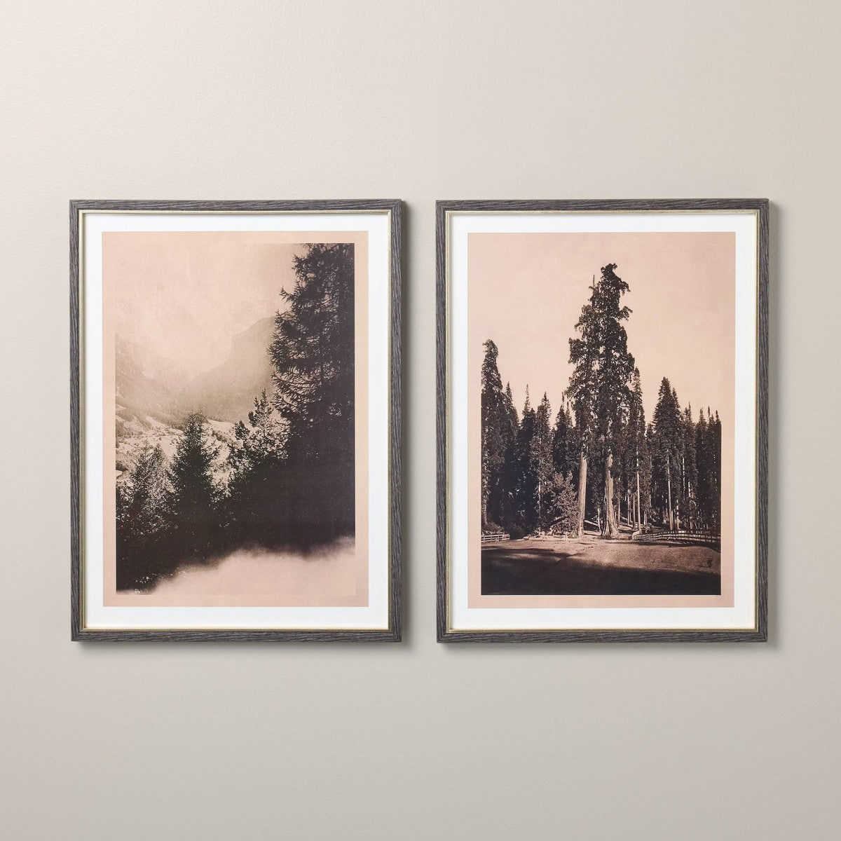 2pc 18"x24" Vertical Vintage Tree Wall Art Set - Hearth & Hand with Magnolia