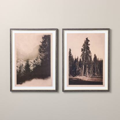 2pc 18"x24" Vertical Vintage Tree Wall Art Set - Hearth & Hand with Magnolia