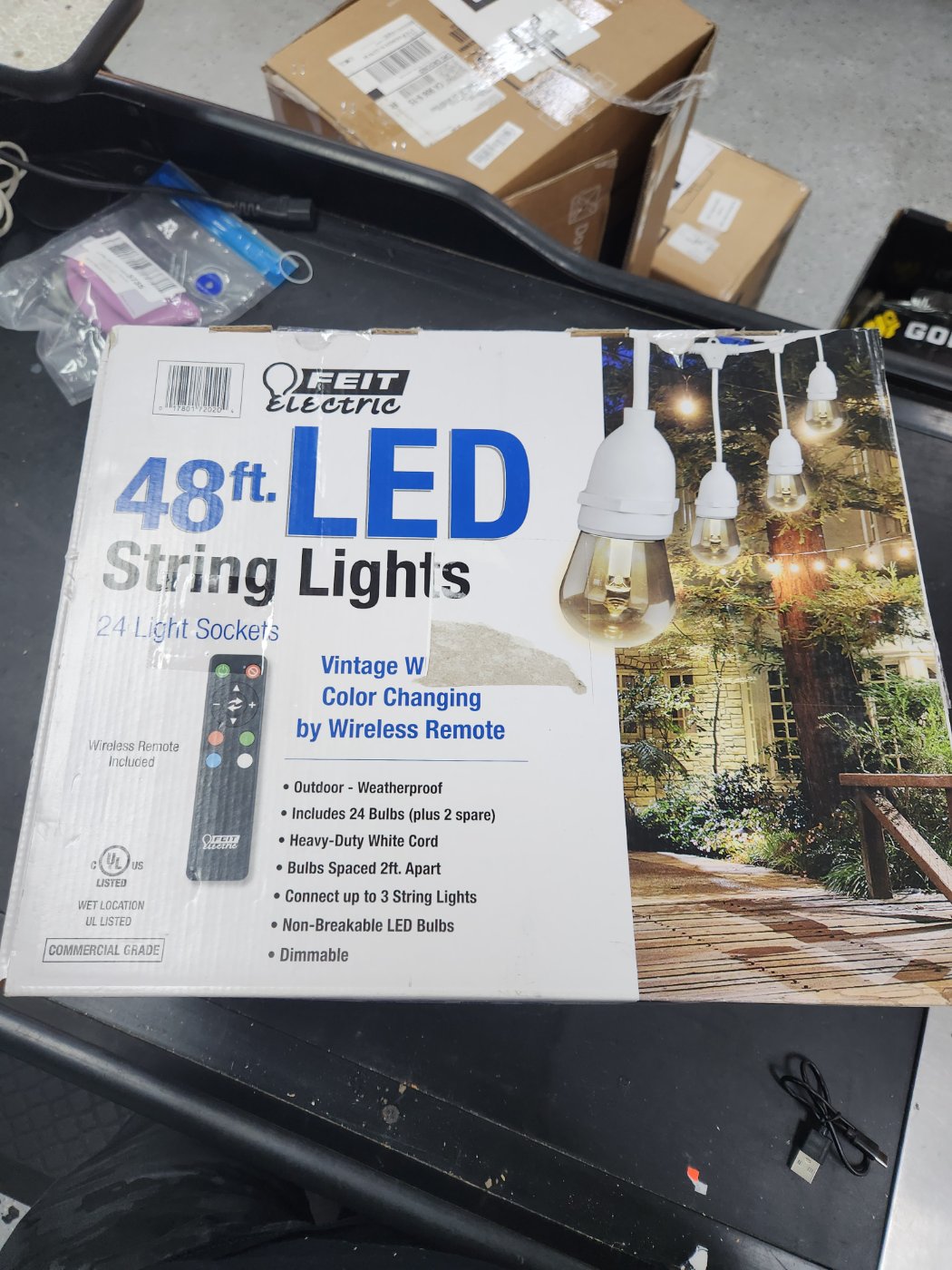 Feit Electric 48' LED String Lights