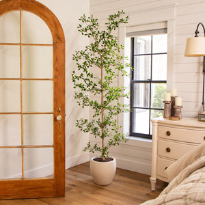 Faux 6.5' Black Olive Tree