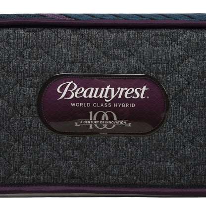 Beautyrest Queen Mattress Foundation