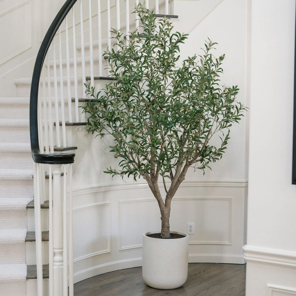C.G. Hunter Faux 8” Olive Tree