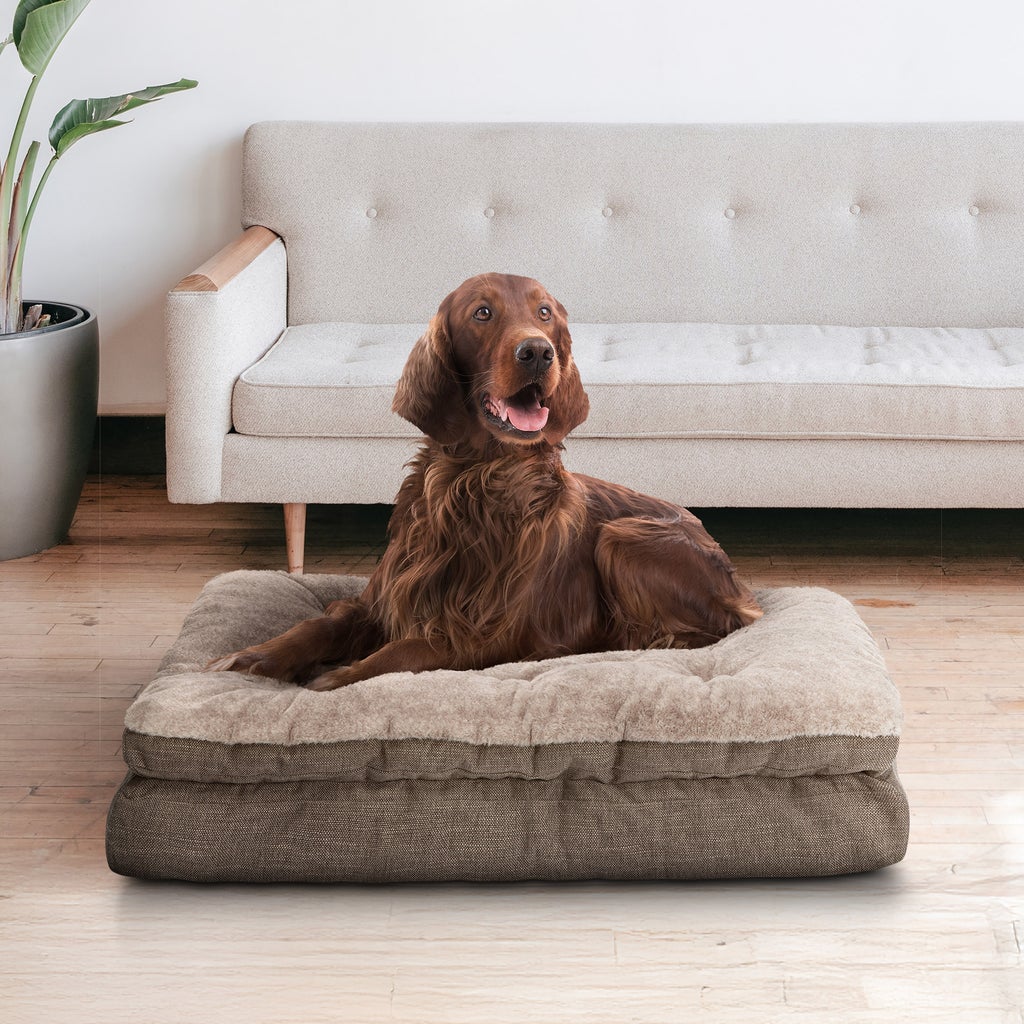 Kirkland Signature Gusseted Pillow Top Pet Bed, Brown