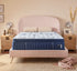 Stearns & Foster Estate Soft Euro Pillow Top Mattress - Queen