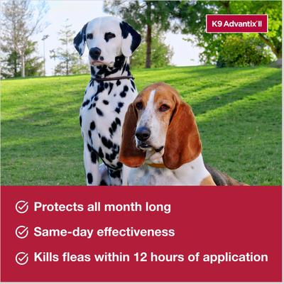 K9 Advantix II Flea & Tick Treatment for Large Dogs 21-55 lbs
