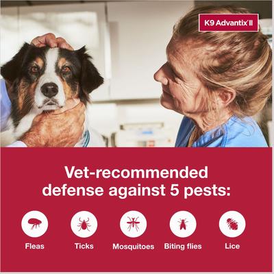K9 Advantix II Flea & Tick Treatment for Large Dogs 21-55 lbs