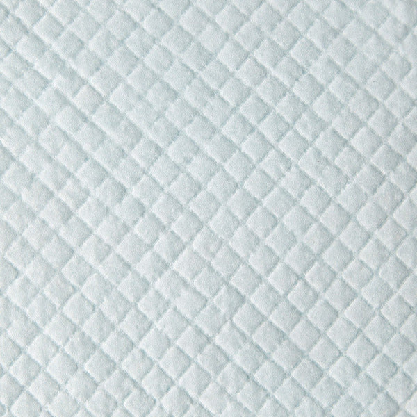 Kirkland Signature Absorbent Pet Training Pads, 100-count