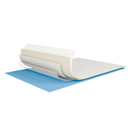 Kirkland Signature Absorbent Pet Training Pads, 100-count