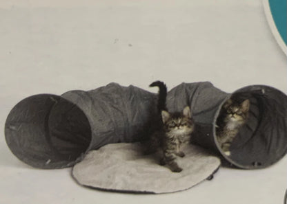 Companion Gear Cat Tunnels with Cushion, 2-pack