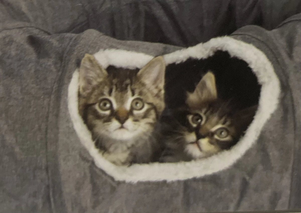 Companion Gear Cat Tunnels with Cushion, 2-pack